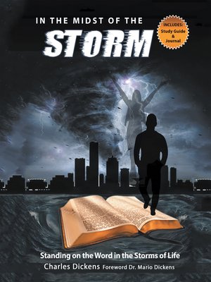 cover image of In the Midst of the Storm